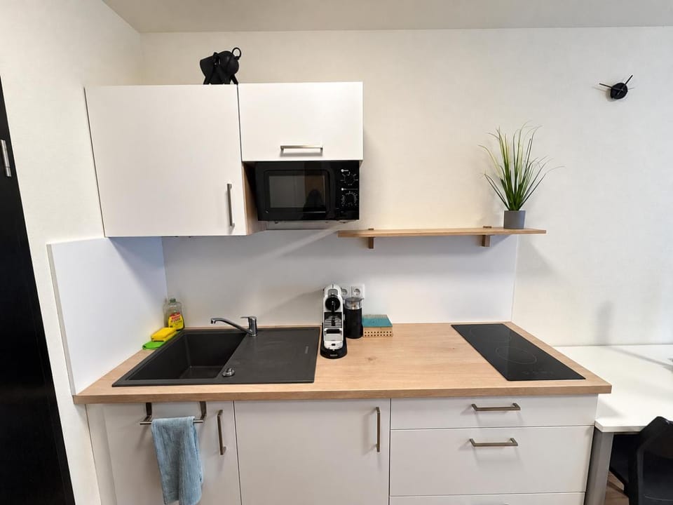 Kitchen or kitchenette, kitchen