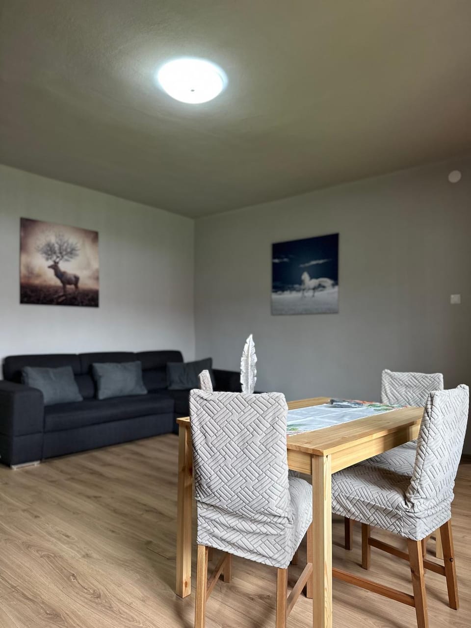 Harmony Guest House House in Romania