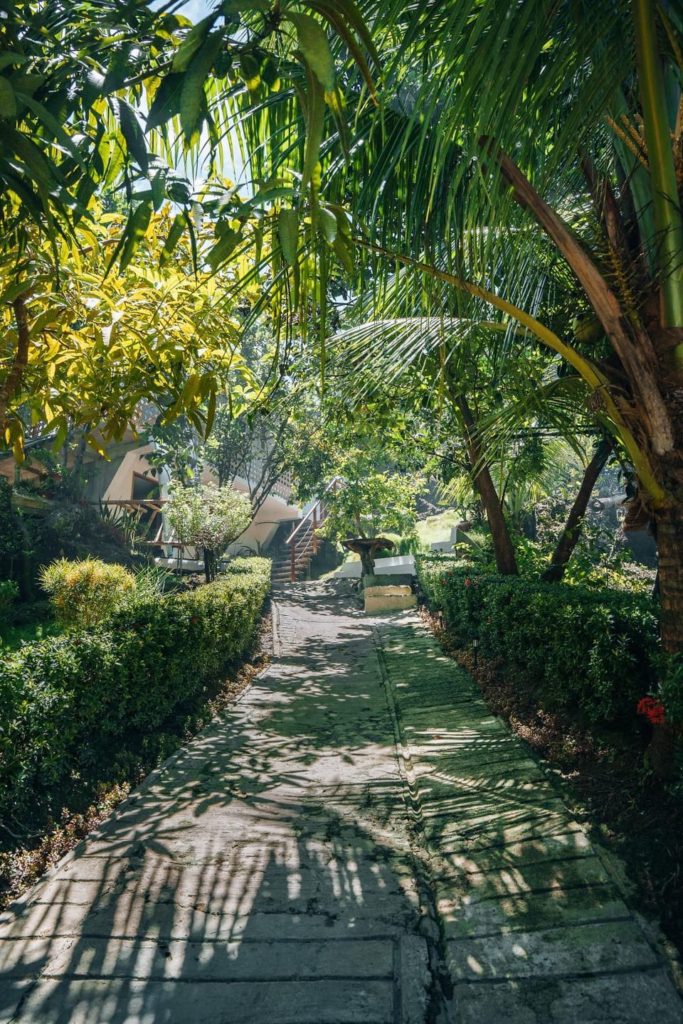 Property building, Garden