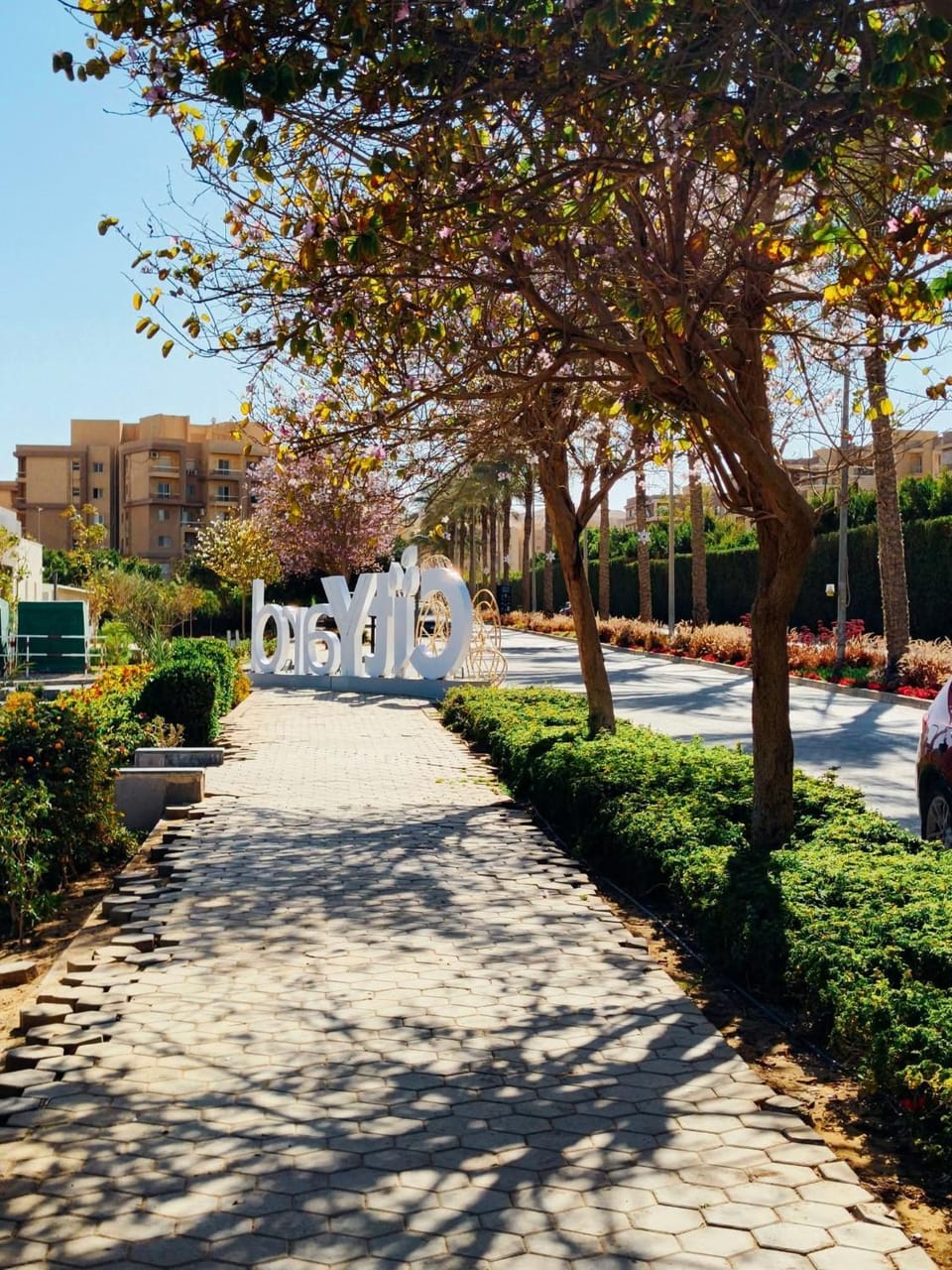 للإيجار شقة مفروشة فندقي Vip Apartment in Egypt