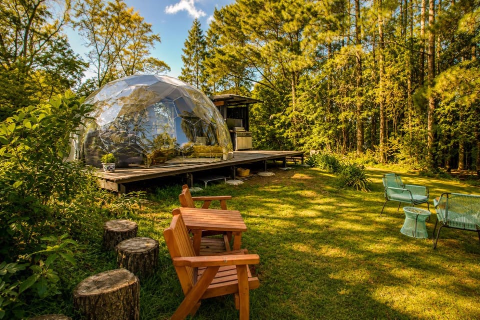 Natural landscape, Garden view