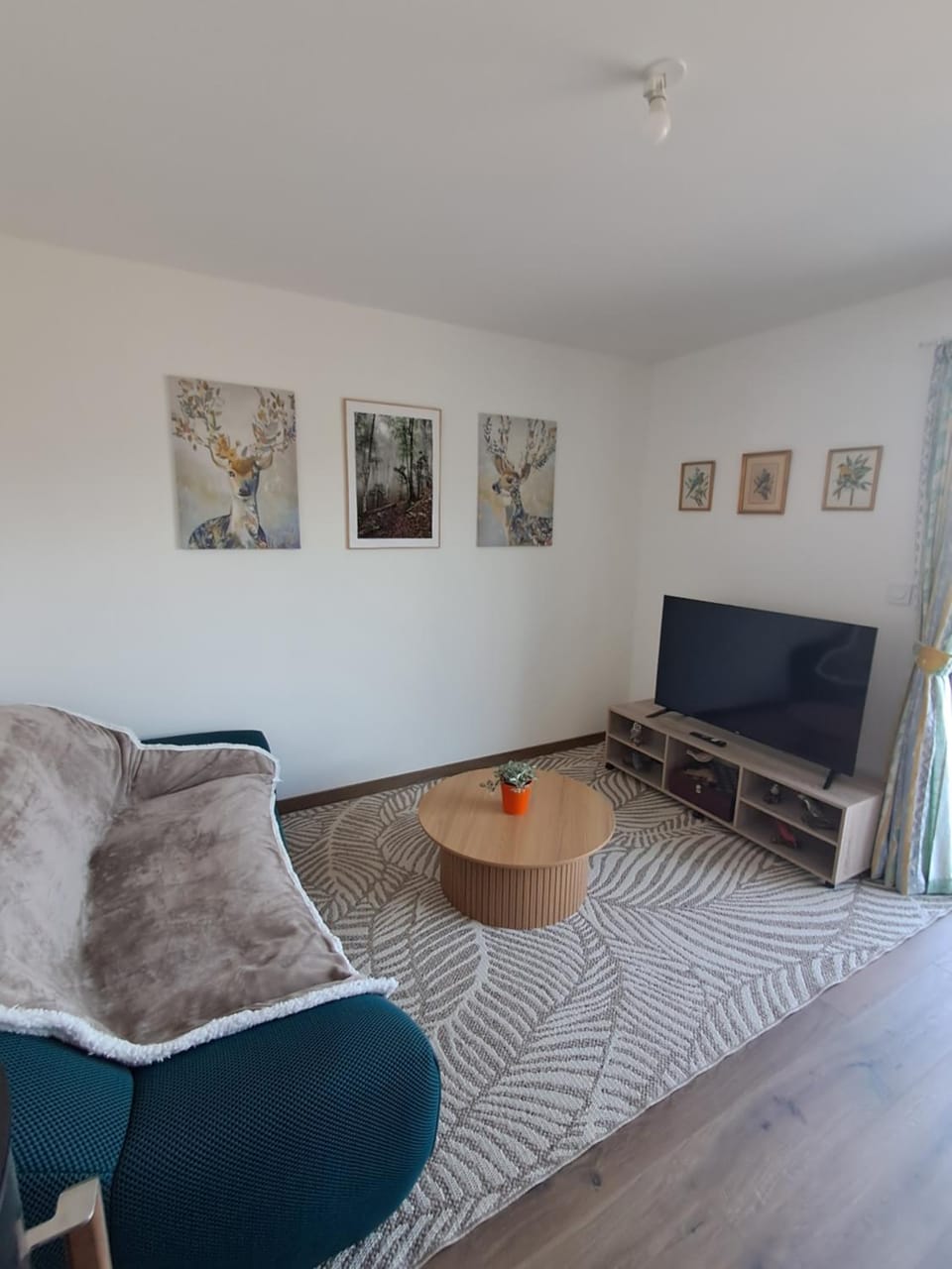 La P'tite maison du Pouey à Lourdes , Spa -Jacuzzi , Wifi , Parking , Draps fournis House in Lourdes