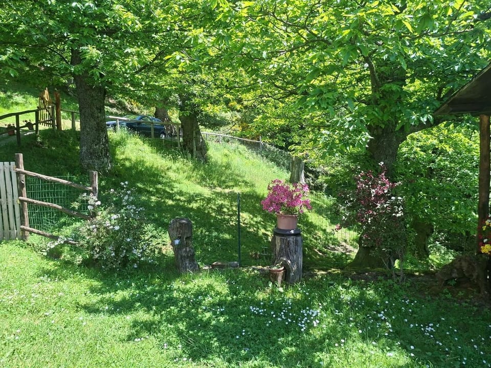 Albergo Ristorante La Selva Hotel in Emilia-Romagna