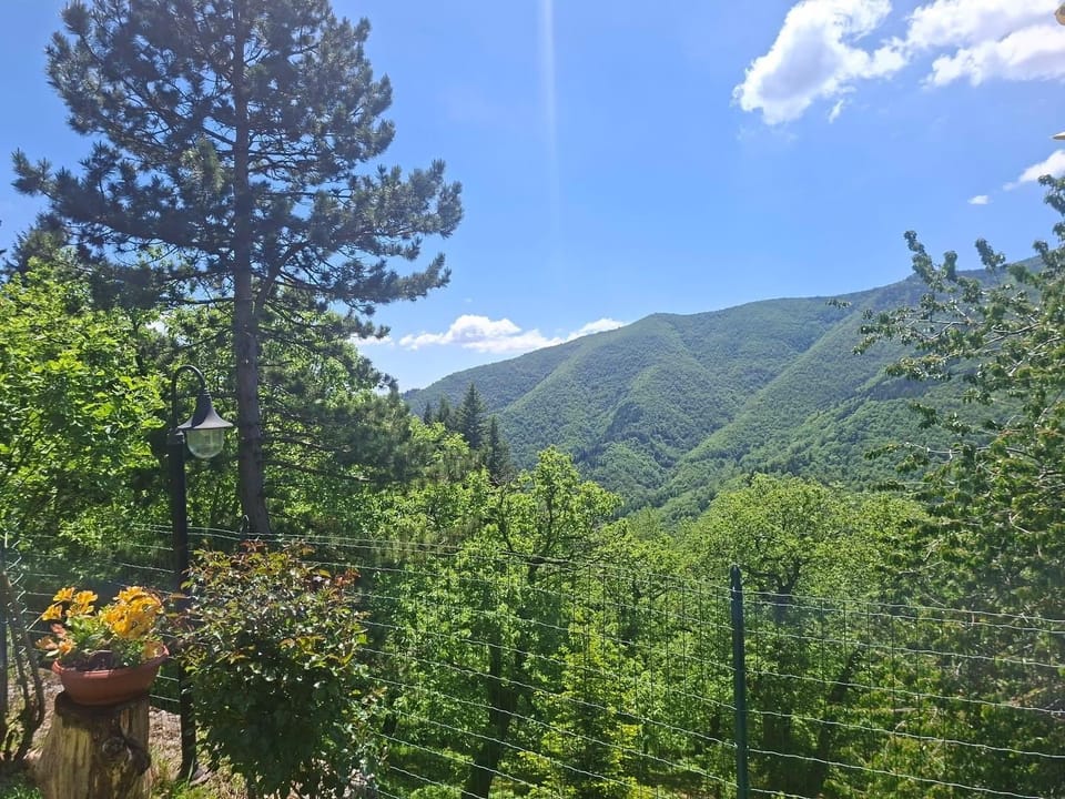 Albergo Ristorante La Selva Hotel in Emilia-Romagna