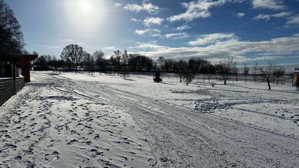 Winter