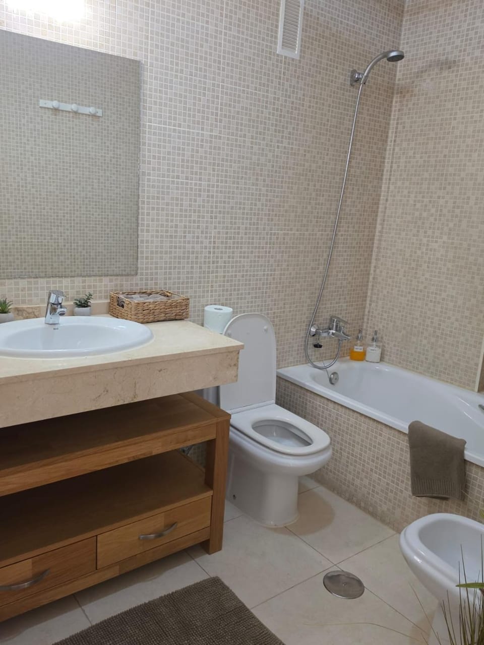 Shower, Toilet, Bathroom, Bath, bidet