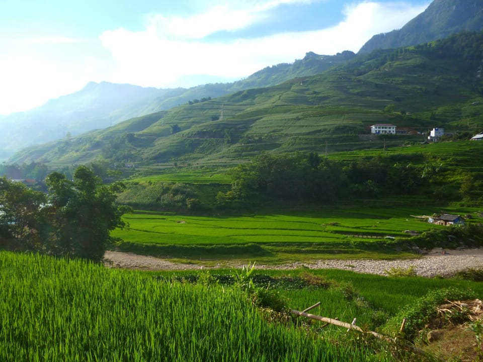 Natural landscape