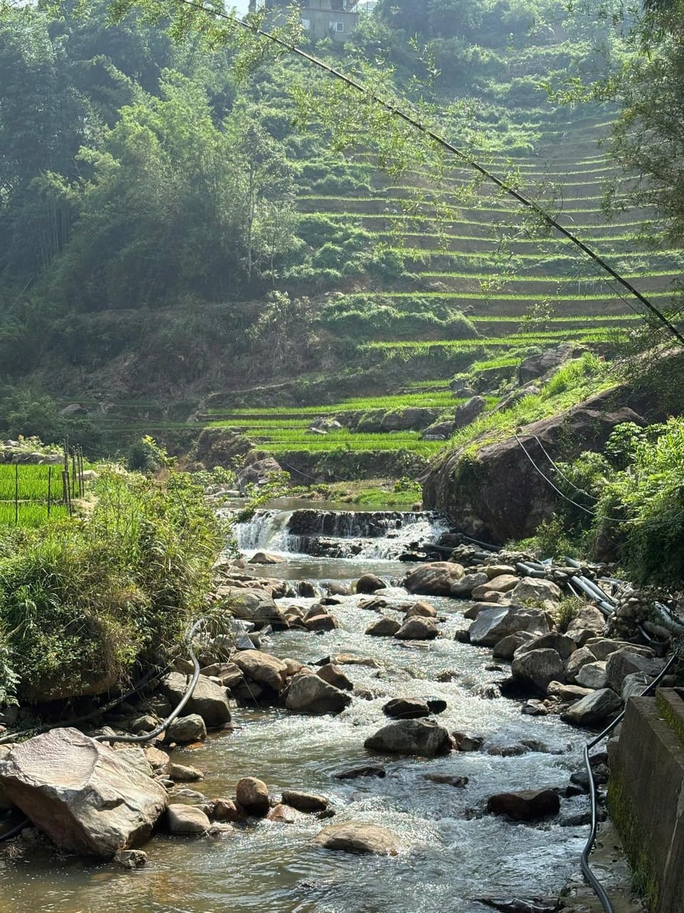 Mrs Soi Sapa Homestay Vacation rental in Vietnam