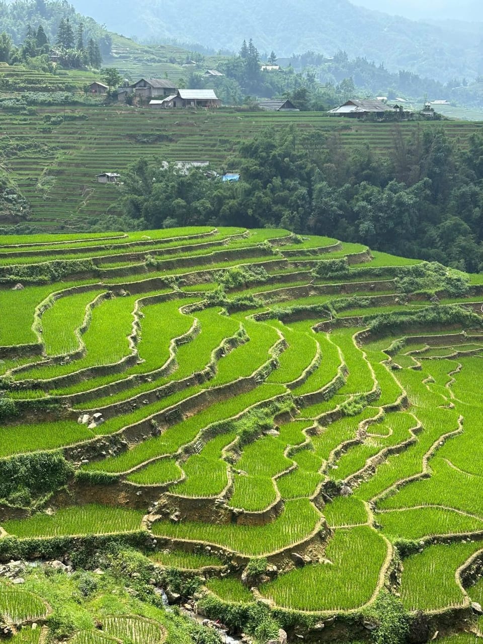 Mrs Soi Sapa Homestay Vacation rental in Vietnam