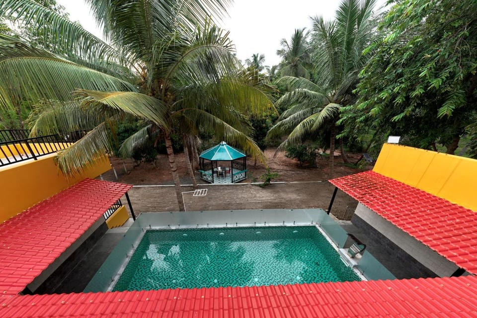 Pool view, Swimming pool