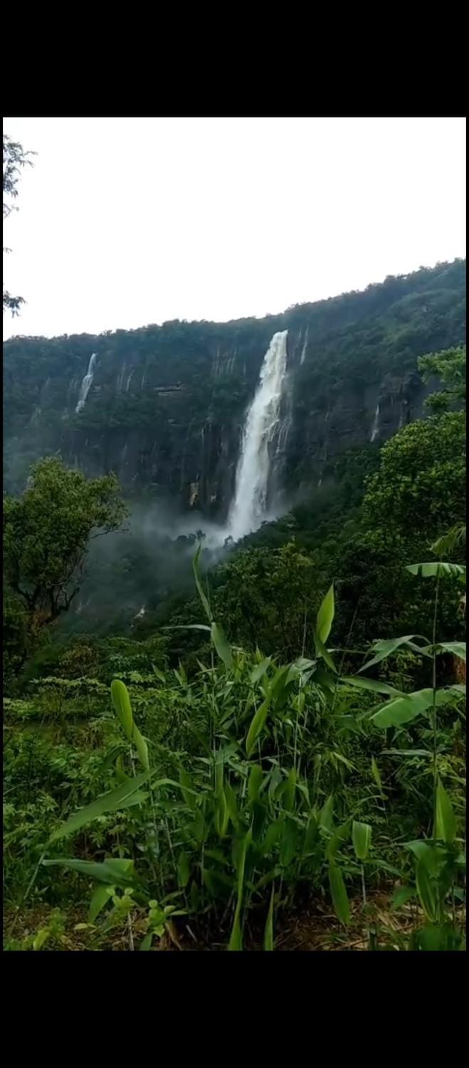 Echo Falls Root Bridge Guest House Vacation rental in India