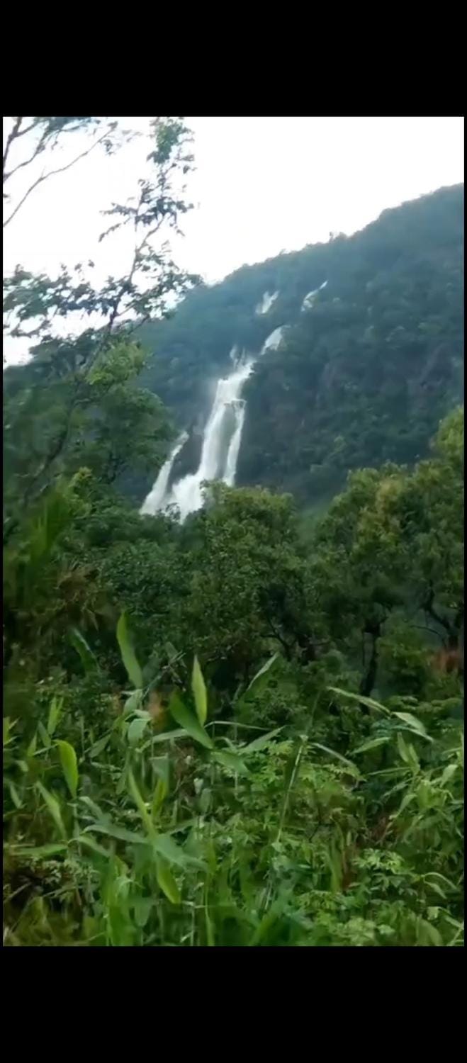 Echo Falls Root Bridge Guest House Vacation rental in India