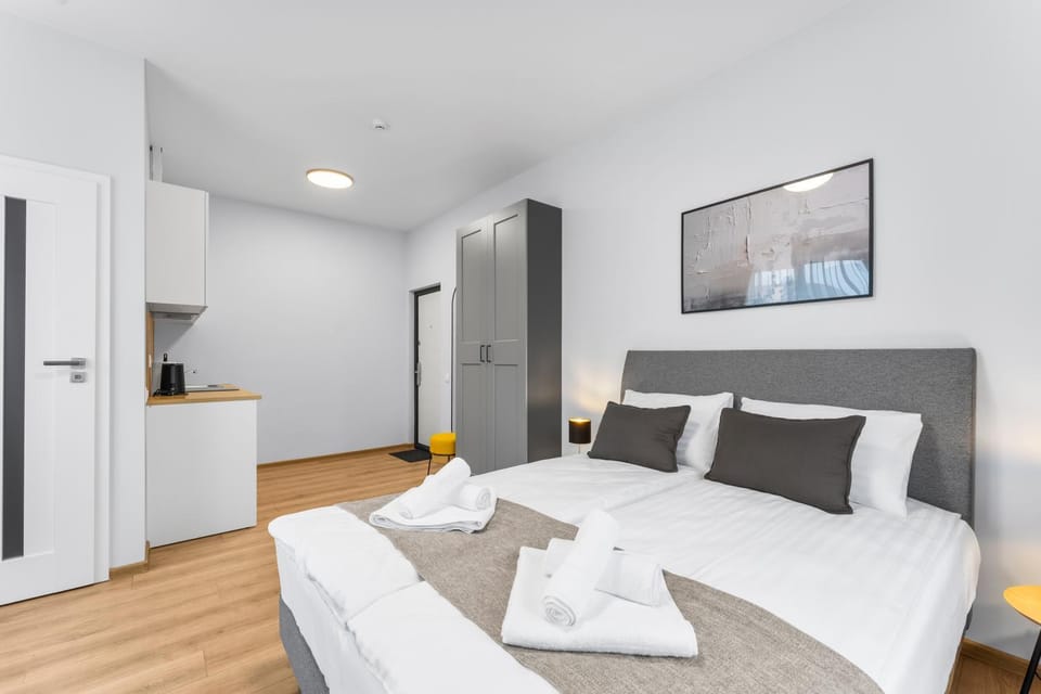 Bathroom, TV and multimedia, Coffee/tea facilities, Kitchen or kitchenette, Photo of the whole room, hair dryier, internet, towels, wardrobe