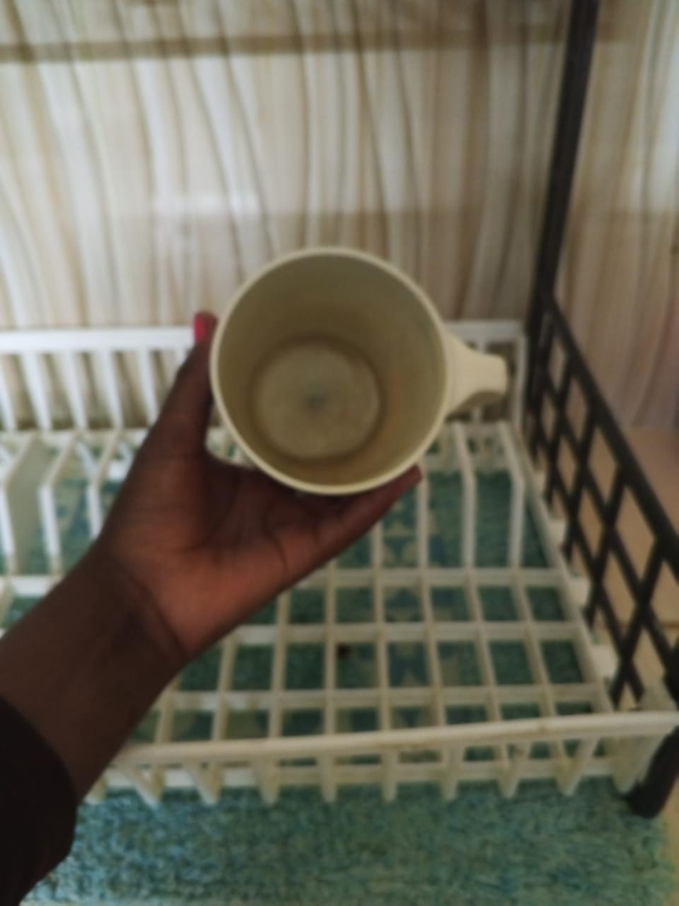 Ashoka blue house Bed and Breakfast in Malindi