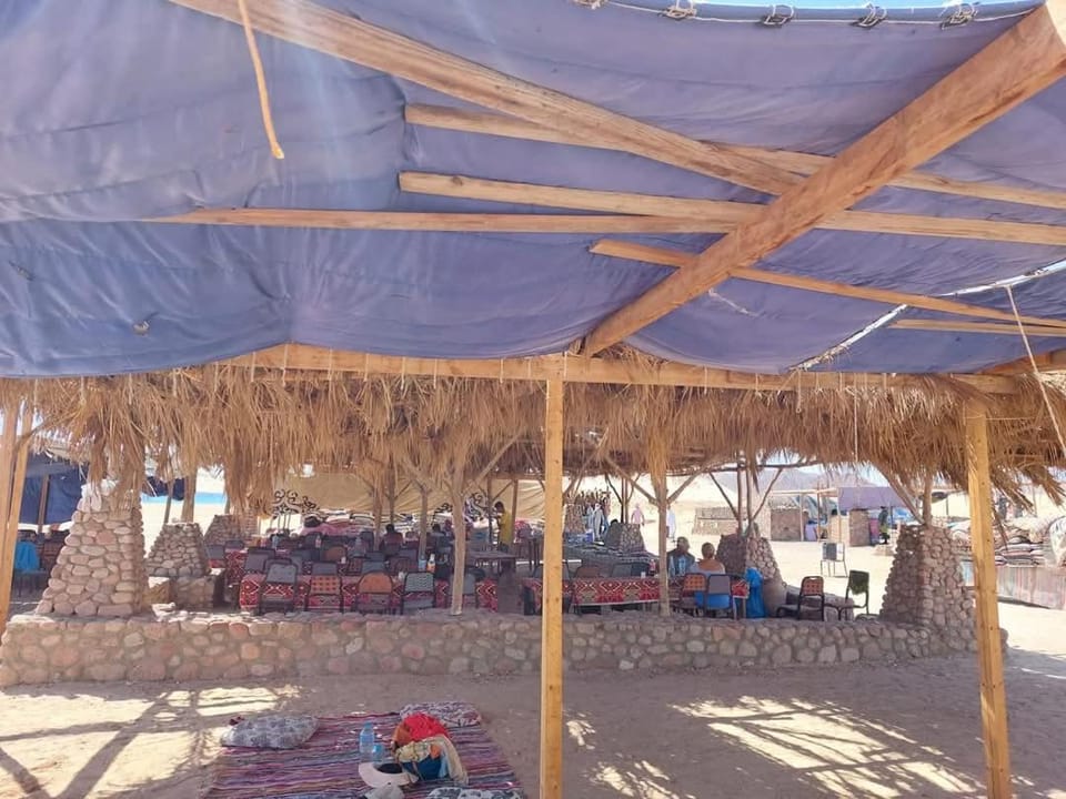 CampoAladino Luxury tent in Sharm El-Sheikh