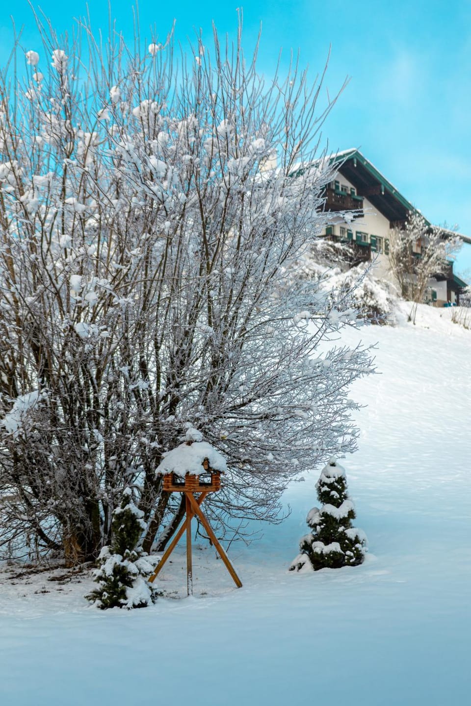 Hotel Garni Landhaus Sonnenstern Hotel in Schönau am Königssee