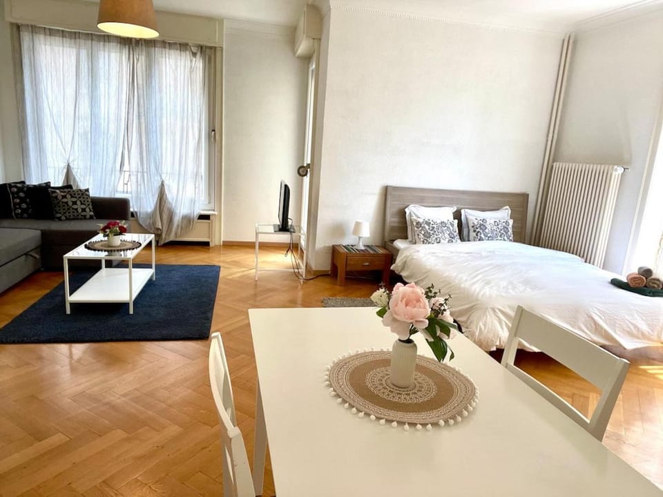 Cheerful Studio Centre Lausanne Apartment in Lausanne