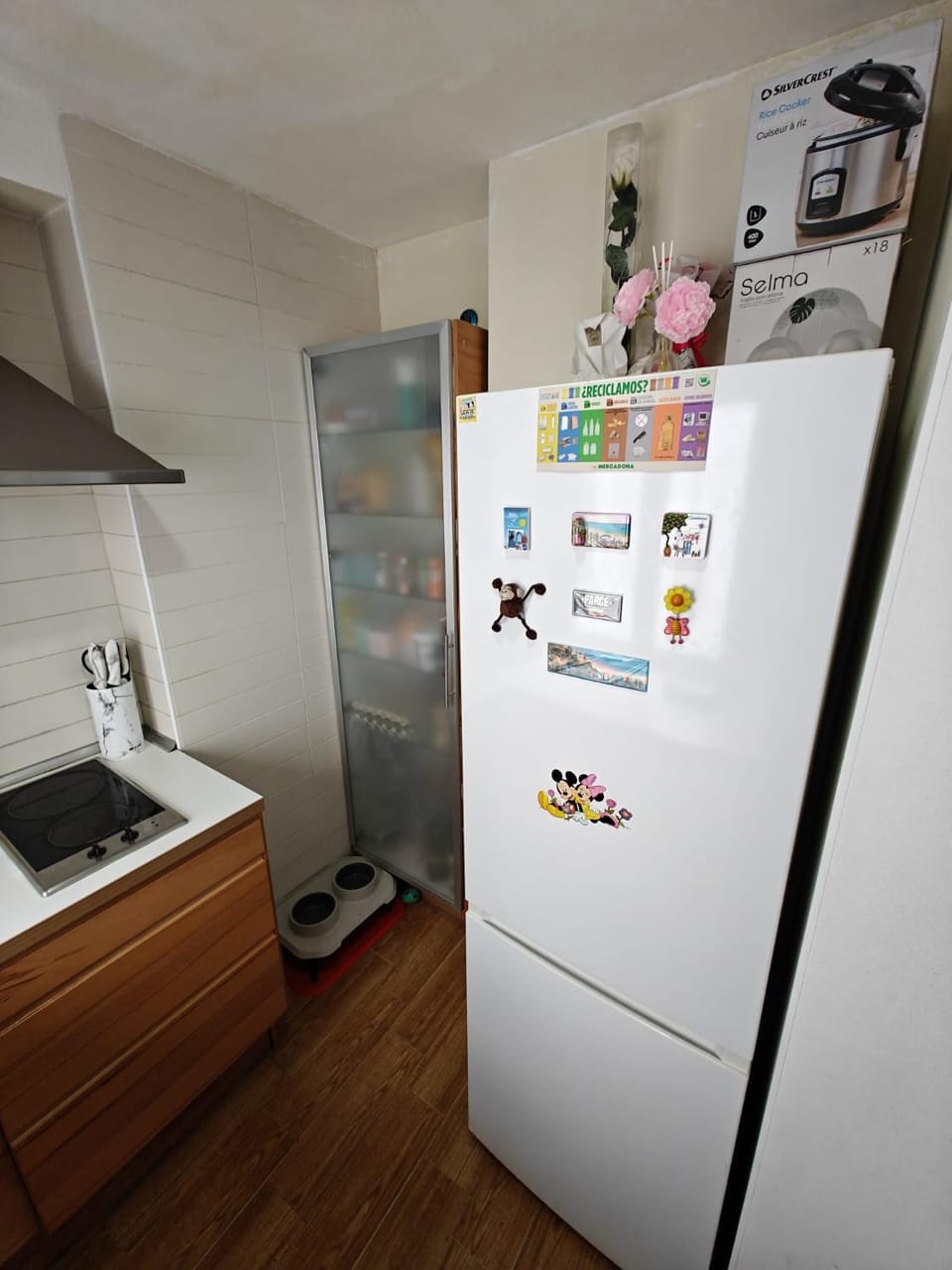 Estudio apartamento Apartment in Zaragoza