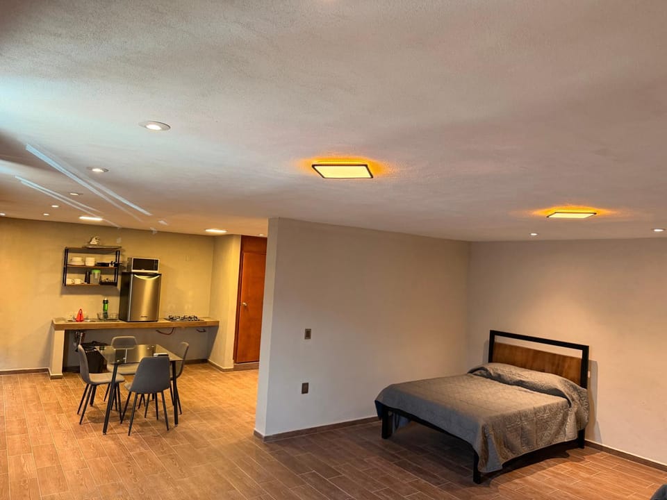 Urban loft Apartment in San Luis Potosi