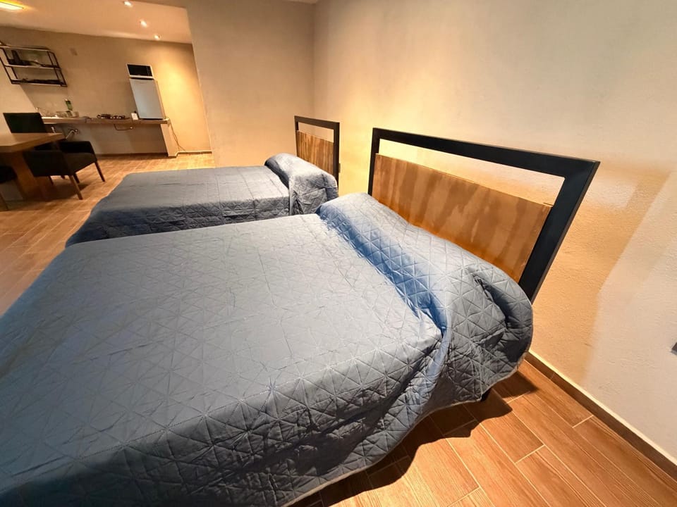 Urban loft Apartment in San Luis Potosi