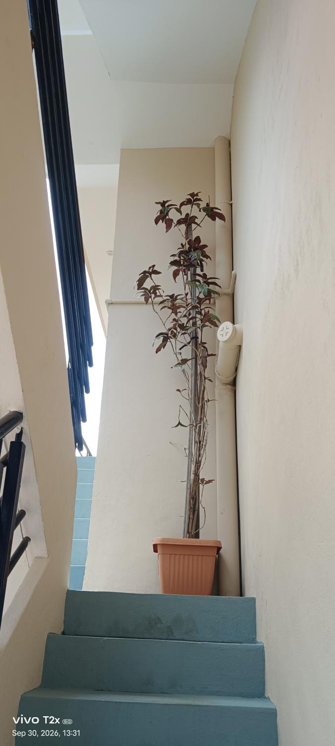 S R Residency apartment Apartment in Mysuru