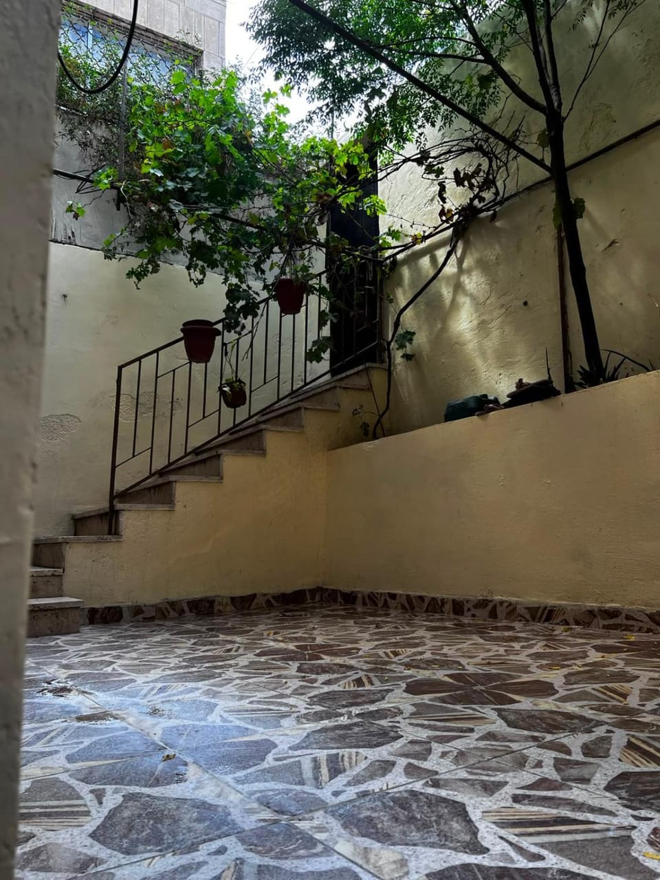 Garden, Balcony/Terrace