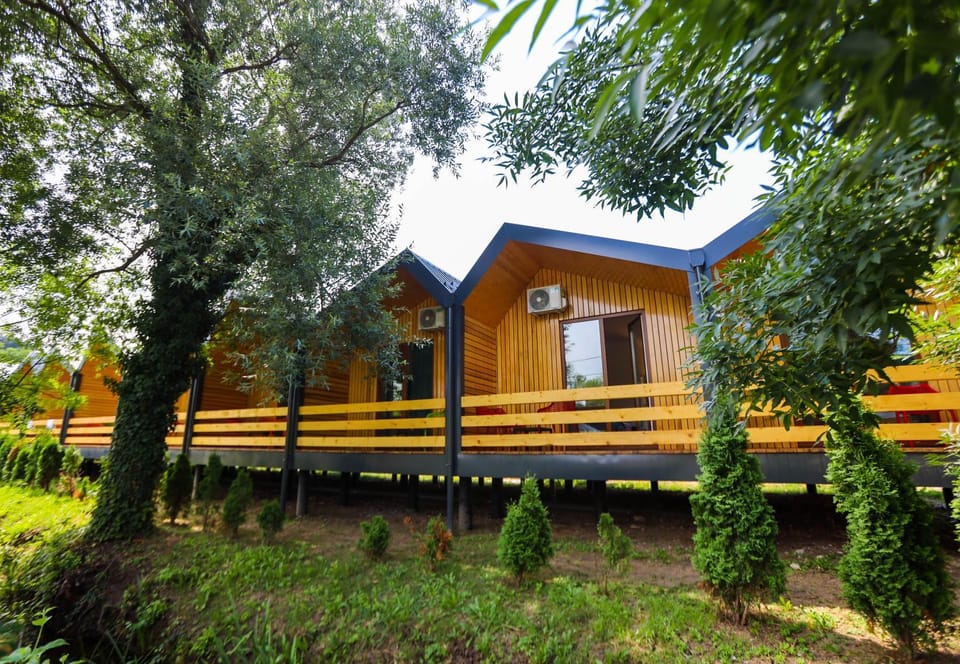 Property building, Garden, Garden view