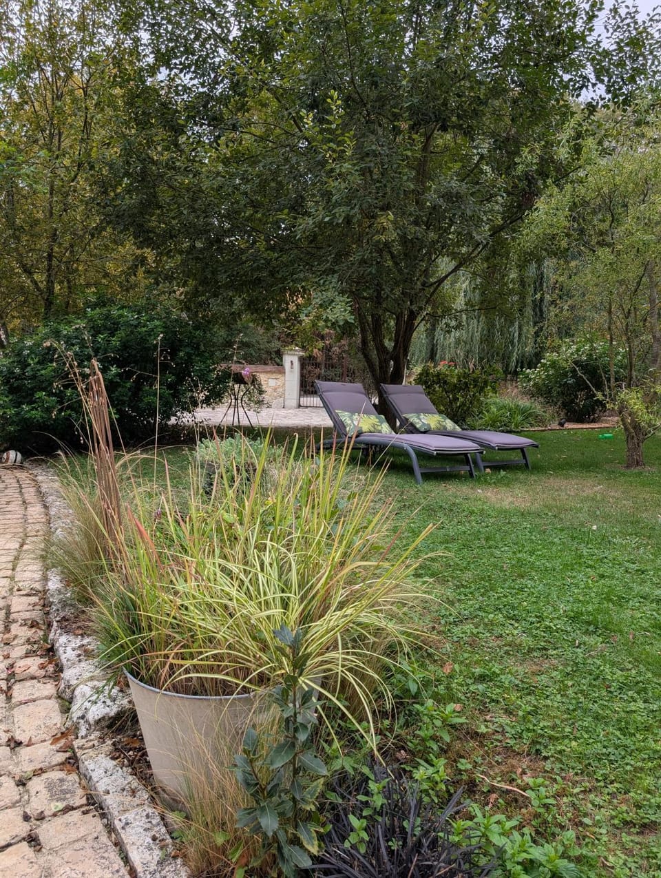 Natural landscape, Garden, Garden view, sunbed
