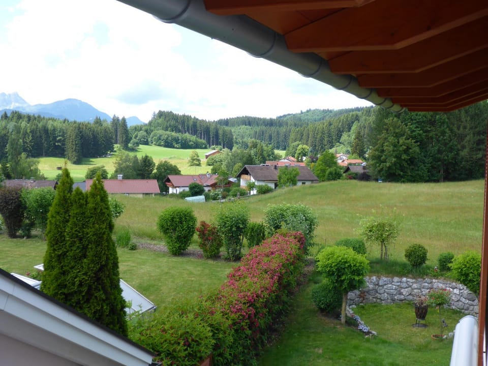 View (from property/room)