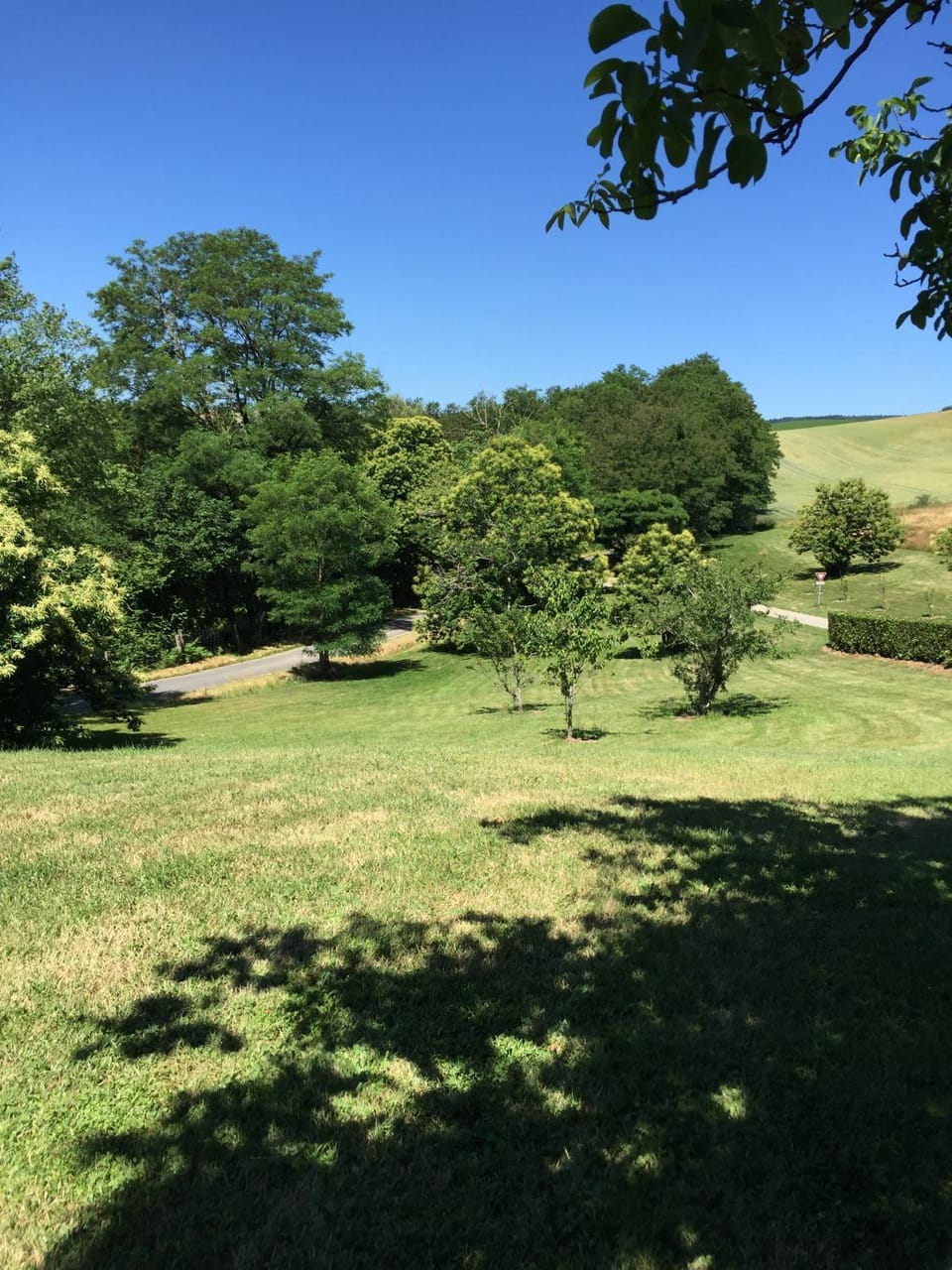 Natural landscape