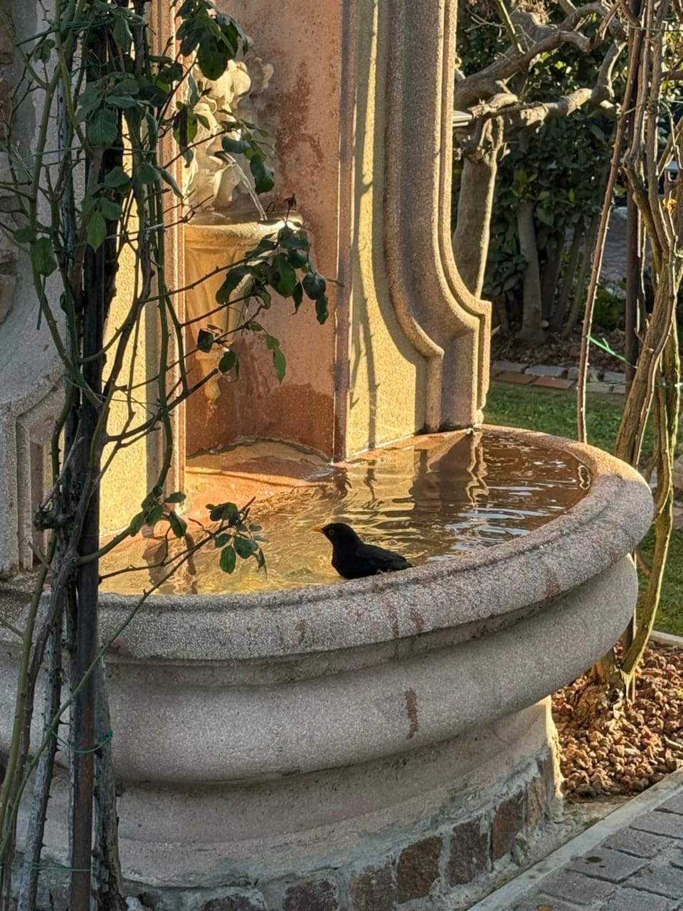 Casa Valentino Bed and Breakfast in Bergamo