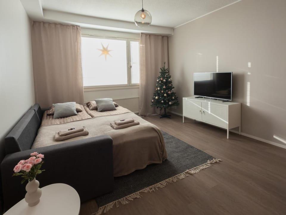 Santa City Home - free wifi Apartment in Rovaniemi