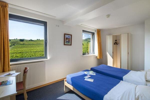 Le Mittel Hotel in Grand Est