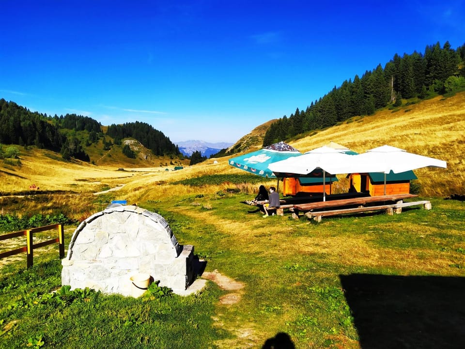 Garden, Garden view, Mountain view