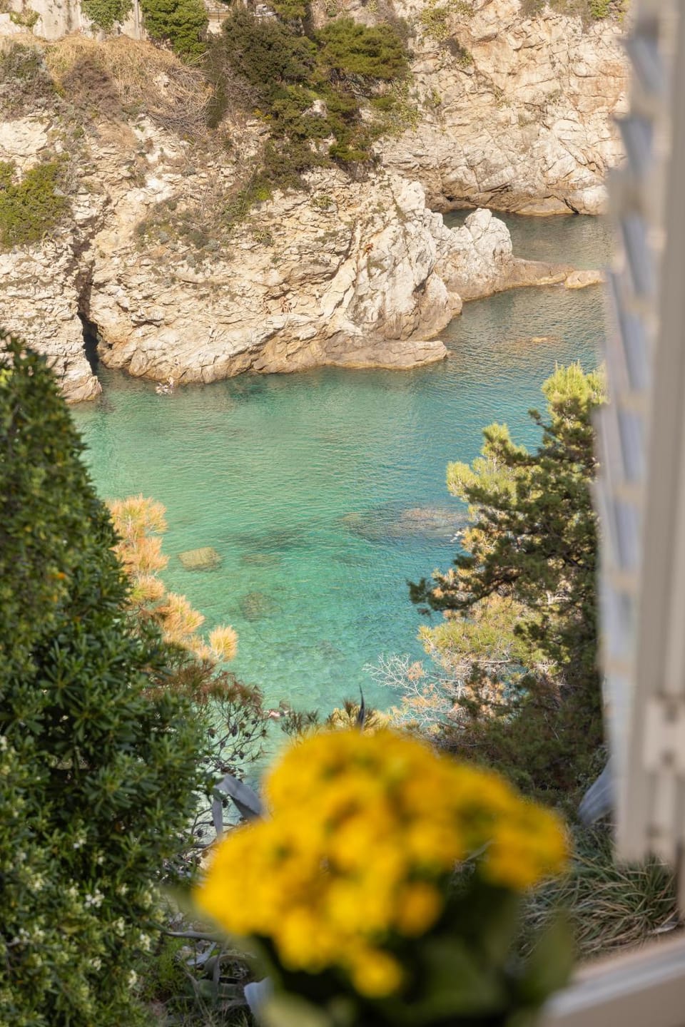 View (from property/room), Beach