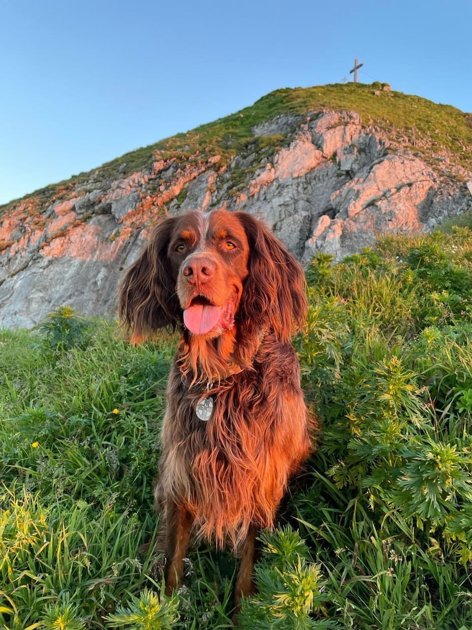 Natural landscape, Activities, Hiking, Pets