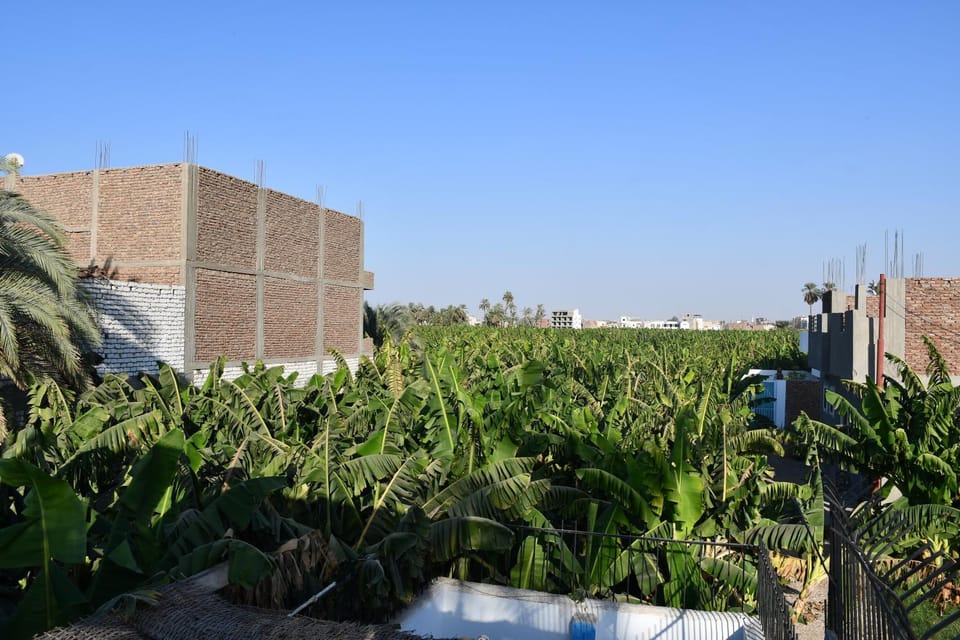 Garden, Garden view