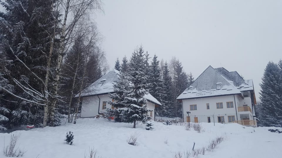 Winter