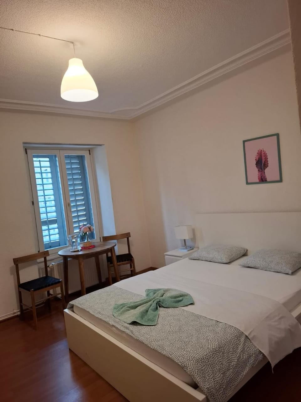 Grosse Zimmer Apartment in Lucerne