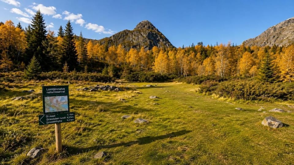High end large mountain cabin with panoramic views Cabin in Viken, Norway