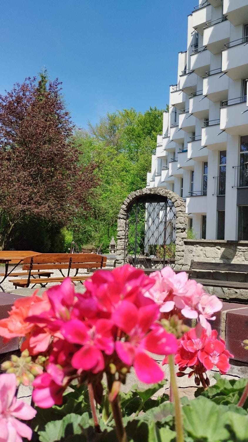 Wilga Hotel in Czechia