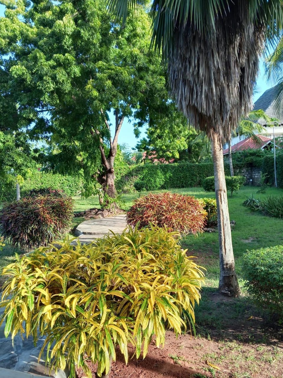 Coco house Villa in Kenya