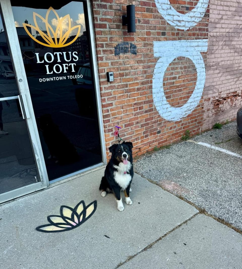 The Lotus Loft Urban Retreat Apartment in Toledo