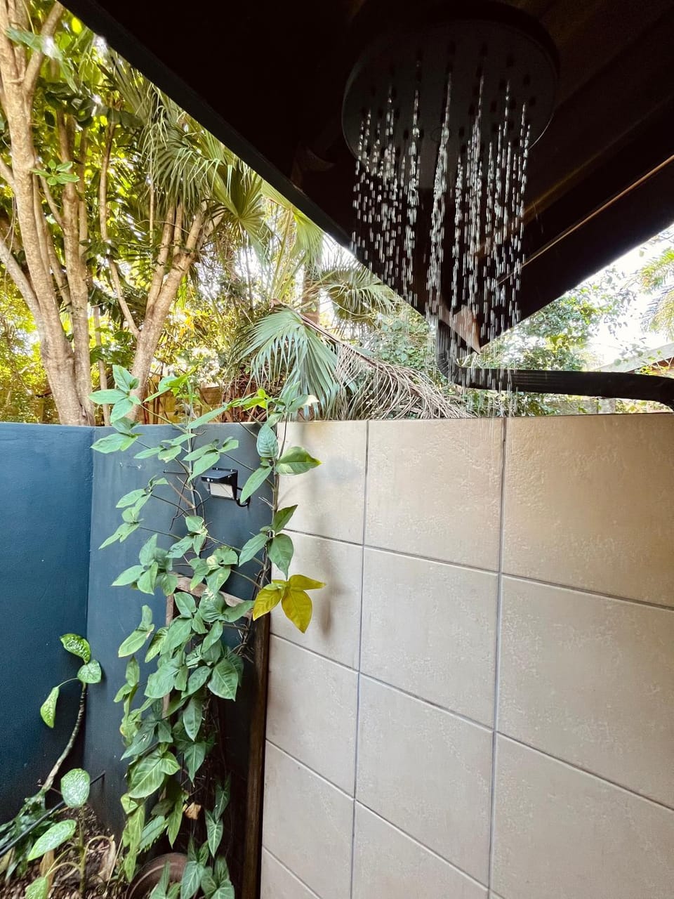 Forest Cove Bed and Breakfast in KwaZulu-Natal