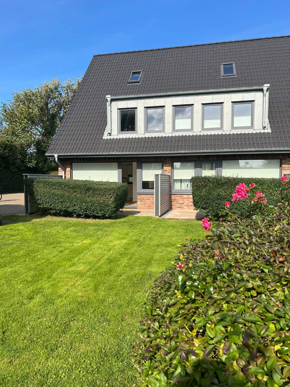 Property building, Day, Garden