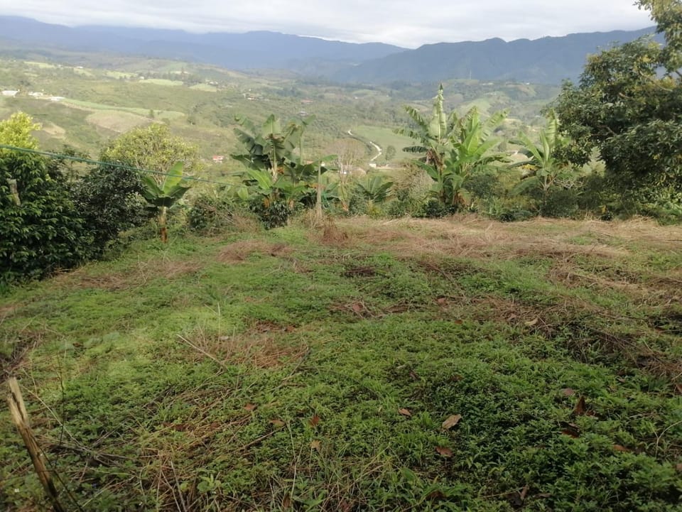 Finca Adamur Farm Stay in Huila, Colombia