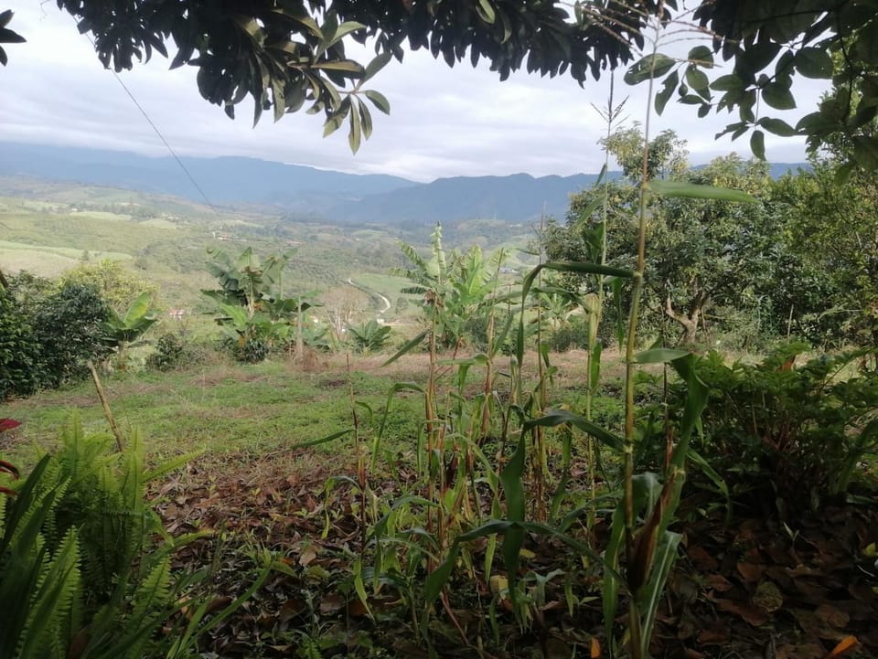 Finca Adamur Farm Stay in Huila, Colombia