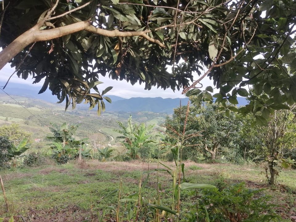 Finca Adamur Farm Stay in Huila, Colombia