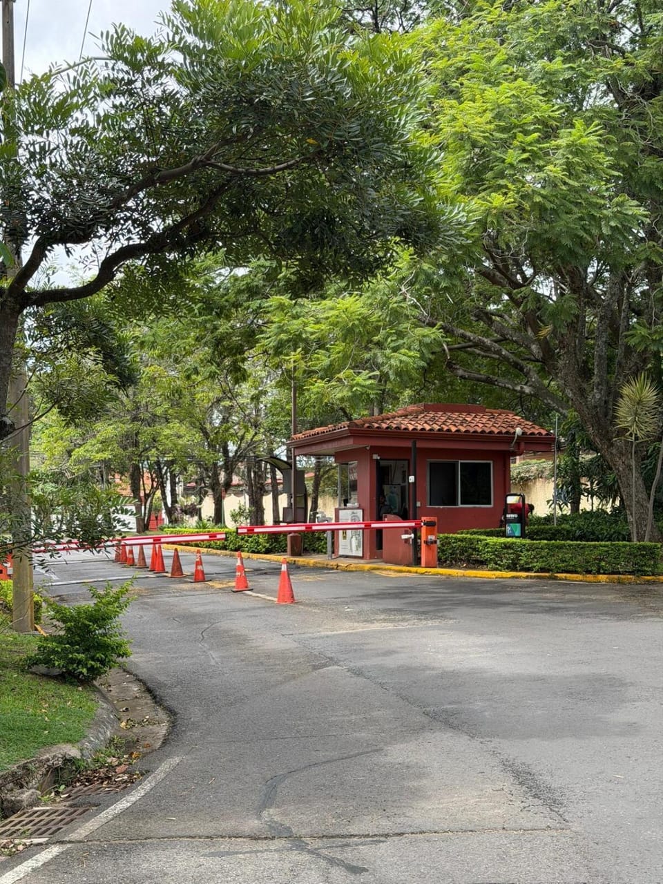 Day, Neighbourhood, Street view