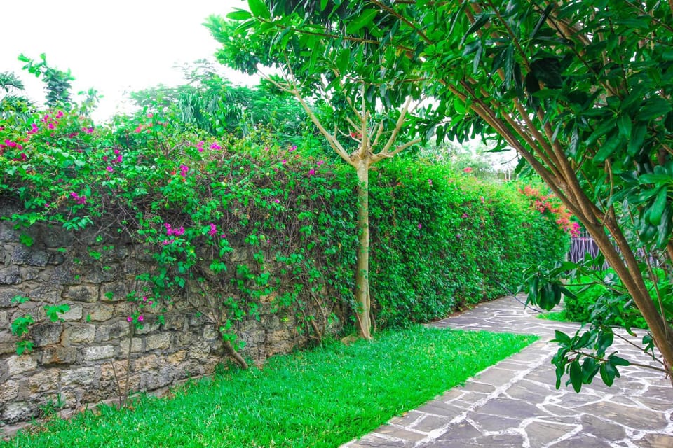 Day, Natural landscape, Garden, Garden view